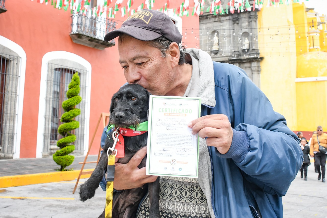 Clínica Biofílica de Huamantla ha rescatado a 106 perritos y gatitos